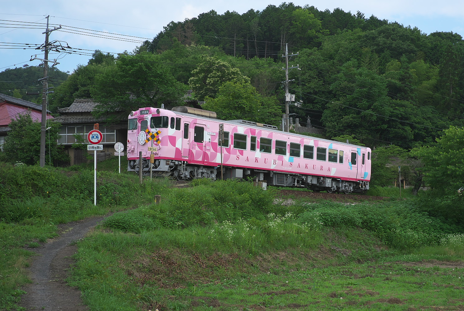 キハ４０　２０４９（さくびさくら）弓削～神目