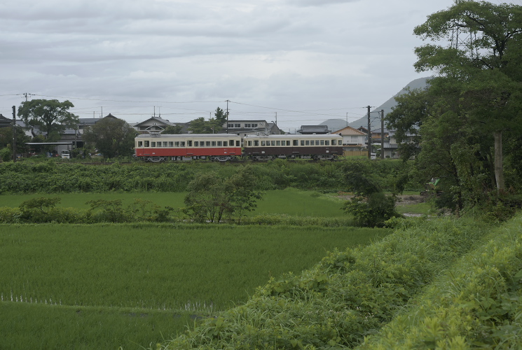 琴電２３号（栗熊～岡田）