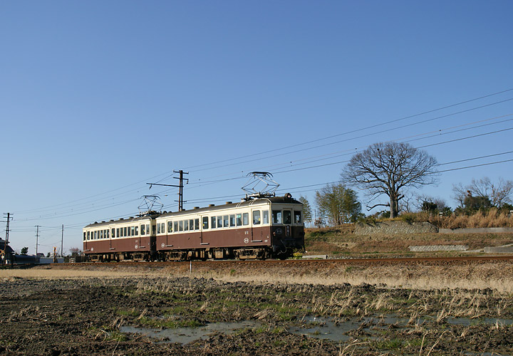 琴電３１５号（白山～学園通り）