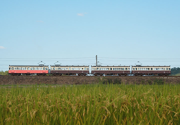 琴電５００号（岡本～挿頭丘）