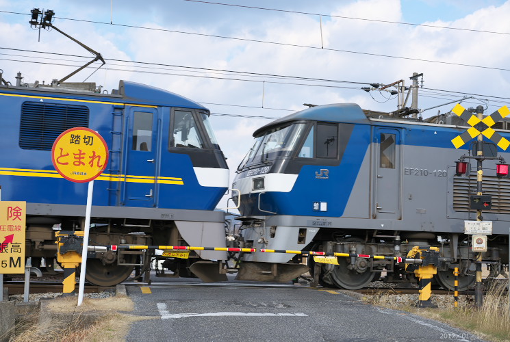 ＥＦ３０　１