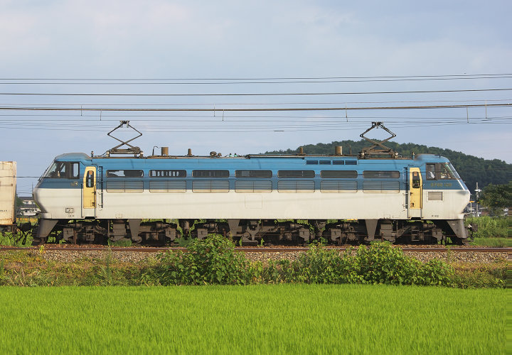 ＥＦ６５　１００９（八重）