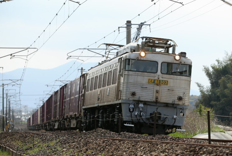 ＥＦ８１　３０３