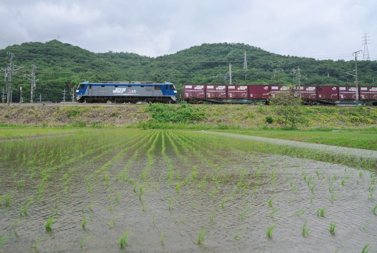 ２０７３列車（東岡山～高島）蟹田踏切付近