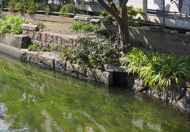 西大寺鉄道地蔵川橋梁跡