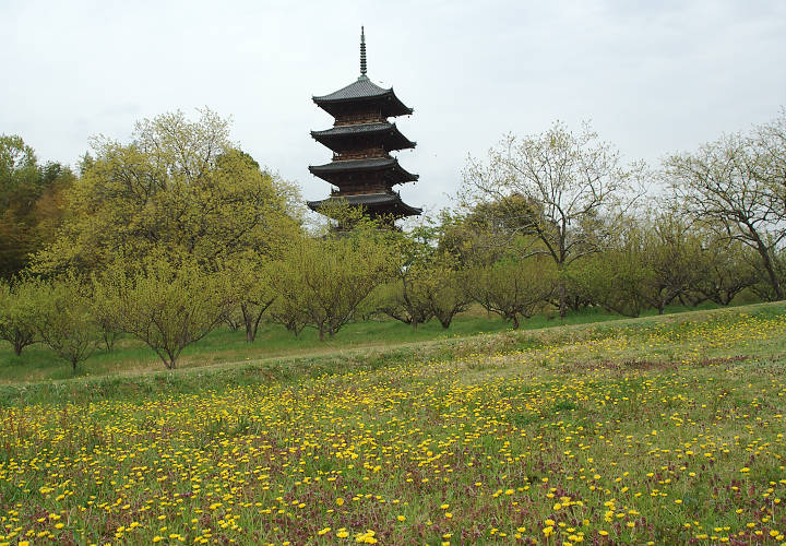 備中国分寺跡