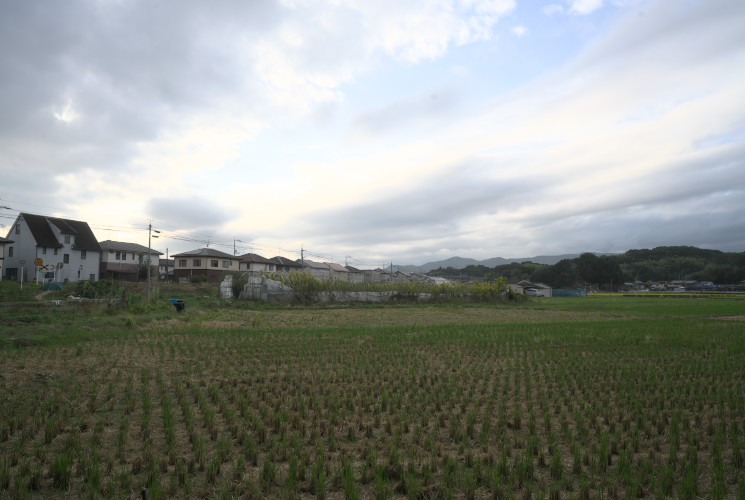 高松城水攻め史跡公園（蛙ヶ鼻）